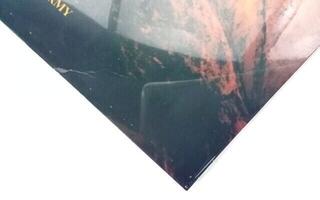 LP ploča Greta Van Fleet - Anthem Of The Peaceful Army (LP) (Samo raspakovano) - 2