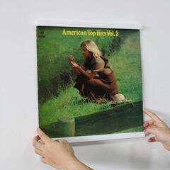 Seinale paigaldatud vinüülplaatide hoidja Muziker MUZR65GWhite Seinale paigaldatud vinüülplaatide hoidja White - 5