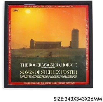 Stensko stojalo za plošče LP
 Muziker Magnetic Vinyl record albums Frame Stensko stojalo za plošče LP Black - 4