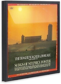 Stensko stojalo za plošče LP
 Muziker Magnetic Vinyl record albums Frame Stensko stojalo za plošče LP Black - 5