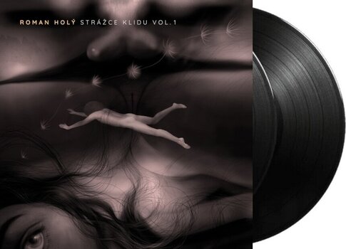 Disc de vinil Roman Holý - Strážce klidu Vol.1 (2 LP) - 2