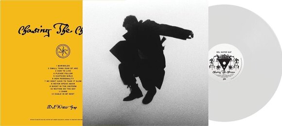 LP ploča Del Water Gap - Chasing The Chimera (Transparent Clear Coloured) (LP) - 2