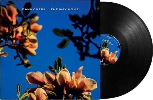 Disco de vinil Danny Vera - The Way Home (LP) - 2