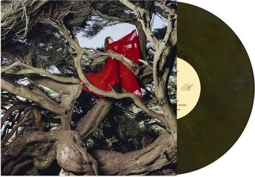 LP deska Hannah Frances - Nested In Tangles (Green/Brown Swirl Coloured) (LP) - 2