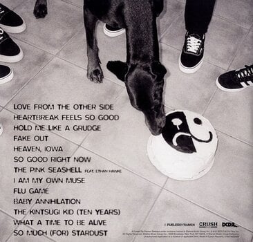 Schallplatte Fall Out Boy - So Much (For) Stardust (LP) - 3