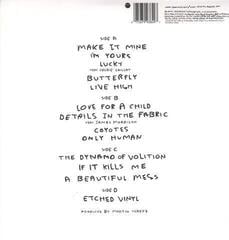 Грамофонна плоча Jason Mraz - We Sing We Dance We Steal Things (2 LP) - 1