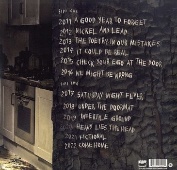 LP ploča Joey Cape - A Good Year To Forget (LP) - 2