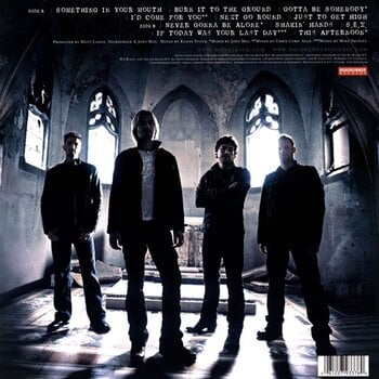 LP ploča Nickelback - Dark Horse (Rocktober 2017 Exclusive) (LP) - 2