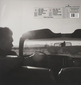 LP ploča Panic! At The Disco - Too Weird To Live Too Rare To Die (LP) - 2