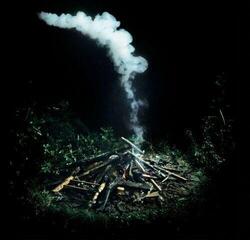 Vinylplate Oliver Leith Last Days (2 LP) - 1