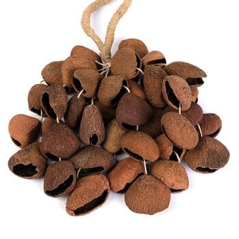 Shaker Sela Pangi Natural Shaker - 2