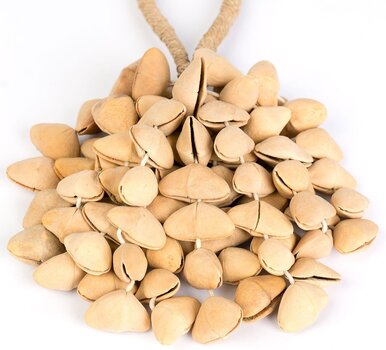 Shaker Sela Kenari Shaker - 2