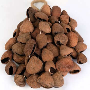 Shaker Sela Pangi Shaker - 2