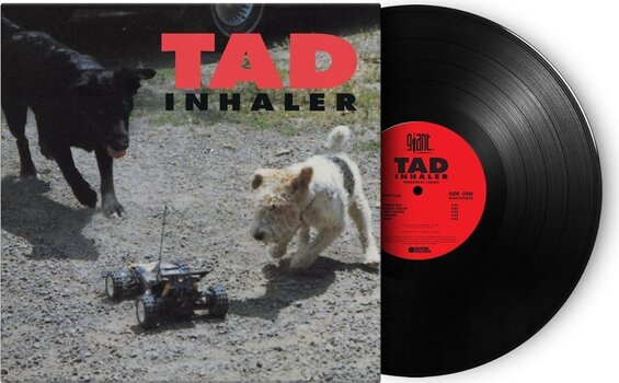 LP ploča Tad - Inhaler (180 g) (LP) - 2