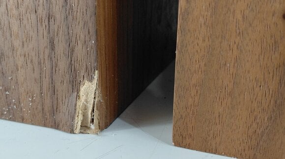 Hi-Fi Oszlop hangfal Pro-Ject 15 DS2 Hi-Fi Oszlop hangfal Walnut (Sérült) - 14