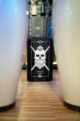 Houten Cajon Meinl El Estepario Siberiano Houten Cajon - 7