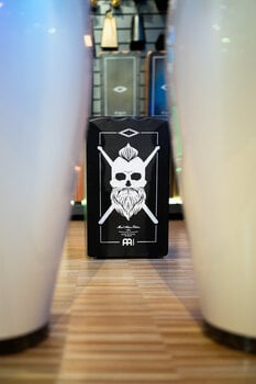 Tre-cajon Meinl El Estepario Siberiano - 8