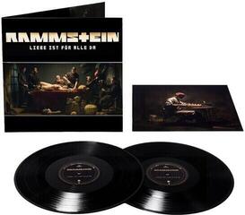 Disc de vinil Rammstein - Liebe Ist Für Alle Da (2 LP) - 1