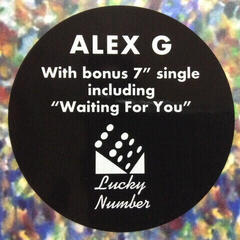 Vinylplade Alex G - DSU (LP + Single 7") - 1