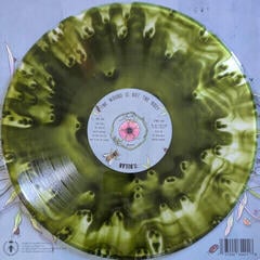 LP ploča B. Dolan - The Wound Is Not The Body (Limited Edition) (Cloudy Green Coloured) (180 g) (LP) - 1