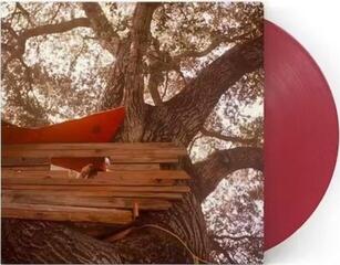 LP ploča Backseat Lovers - Waiting To Spill (Anniversary Edition) (Translucent Ruby Coloured) (180 g) (LP) - 1