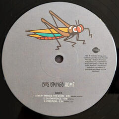 LP Billy Strings - Home (2 LP) - 4