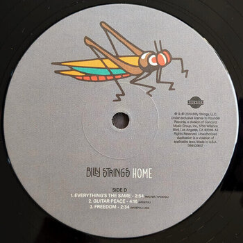 Hanglemez Billy Strings - Home (2 LP) - 5