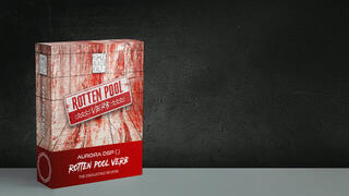 Software Plug-In FX Processor Aurora DSP Rotten Pool Verb (Digital product) - 1