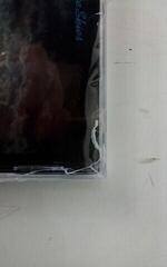 Musiikki-CD Peter Green - In The Skies (Expanded Edition) (Reissue) (Remastered) (CD) (Äskettäin avattu) - 2