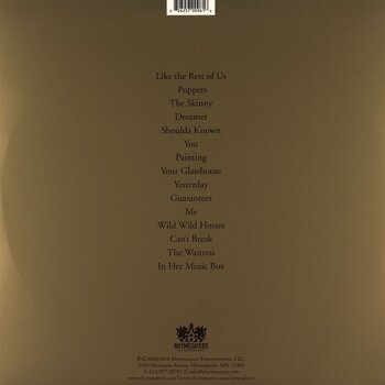 LP ploča Atmosphere - When Life Gives You Lemons, You Paint That Shit Gold (Anniversary Edition) (Gold Coloured) (2 LP) - 6