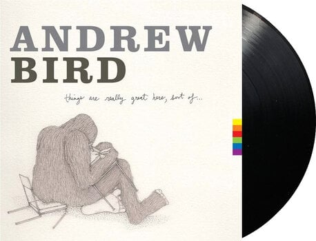 Disc de vinil Andrew Bird - Things Are Really Great Here, Sort Of... (LP) - 2