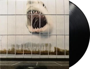 Disco de vinil Black Mountain - Wilderness Heart (LP) - 1