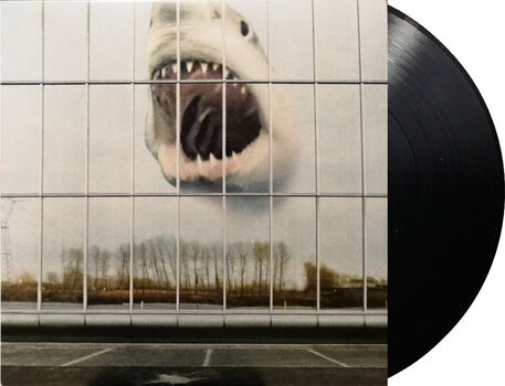 Disco de vinil Black Mountain - Wilderness Heart (LP) - 2