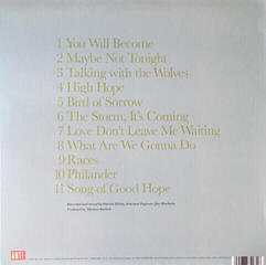 Vinylplade Glen Hansard - Rhythm And Repose (LP) - 2