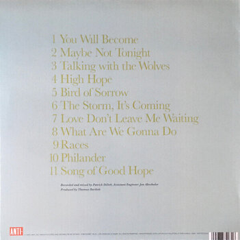 LP ploča Glen Hansard - Rhythm And Repose (LP) - 3