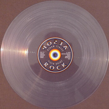 LP ploča Aesop Rock - Spirit World Field Guide (Clear Coloured) (2 LP) - 5