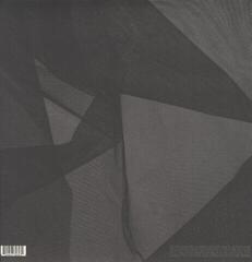 LP ploča Lykke Li - Never Learn (Anniversary Edition) (LP) - 1