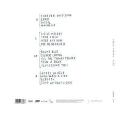 Disc de vinil Herman - Alma (2 LP) - 2