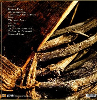 LP ploča Waylander - Eriu'S Wheel (Coloured) (LP) - 2