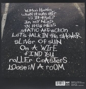 LP plošča Toyguitar - In This Mess (LP) - 2