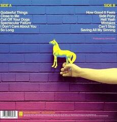 Vinyl Record Lake Street Dive - Side Pony (LP) - 1