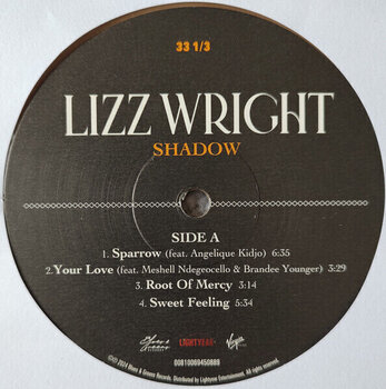 LP ploča Lizz Wright - Shadow (Translucent Tan Coloured) (180 g) (LP) - 5