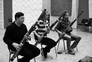 VST Instrument Vienna Symphonic Library Special Edition Vol. 2 Extended Orchestra (Produto digital) - 3