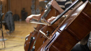 VST Instrument Vienna Symphonic Library Big Bang Orchestra Strings (Producto digital) - 2