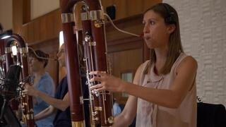 VST Instrument Vienna Symphonic Library Big Bang Orchestra Woodwinds (Digitalni proizvod) - 1