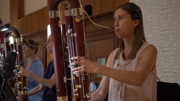 VST Instrument Vienna Symphonic Library Big Bang Orchestra Woodwinds (Digitalt produkt) - 2