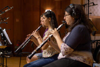 VST Instrument Vienna Symphonic Library Big Bang Orchestra Woodwinds (Digitalni proizvod) - 3