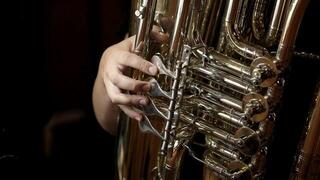 VST Instrument Vienna Symphonic Library Big Bang Orchestra Brass (Дигитален продукт) - 2