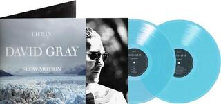 Грамофонна плоча David Gray - Life In Slow Motion (Deluxe 20th Anniversary Edition) (Blue Coloured) (2 LP) - 1