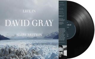 Грамофонна плоча David Gray - Life In Slow Motion (Anniversary Edition) (LP) - 1